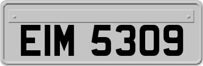 EIM5309