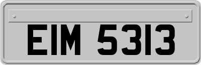 EIM5313