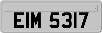 EIM5317