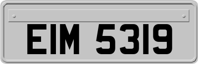 EIM5319