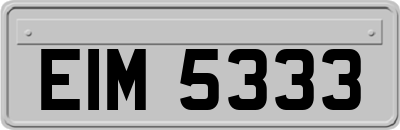 EIM5333