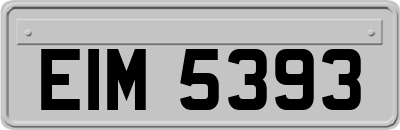 EIM5393