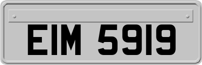EIM5919