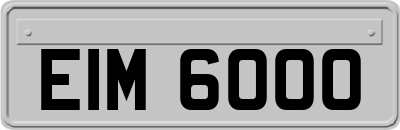 EIM6000