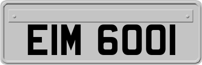 EIM6001