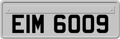 EIM6009