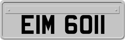 EIM6011