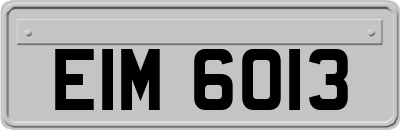 EIM6013