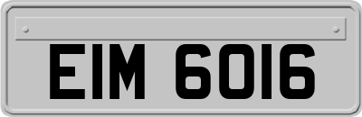EIM6016