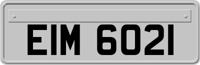 EIM6021