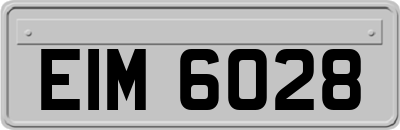 EIM6028