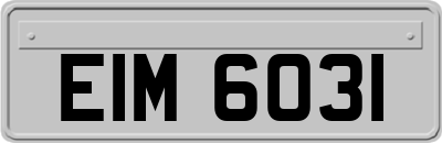 EIM6031