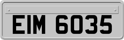 EIM6035