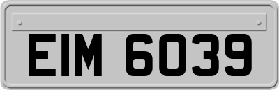 EIM6039