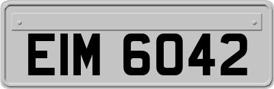EIM6042