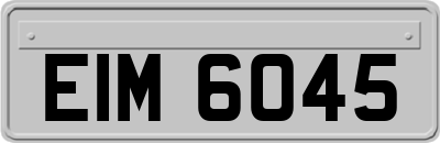 EIM6045
