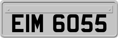 EIM6055