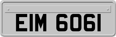 EIM6061