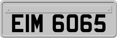 EIM6065