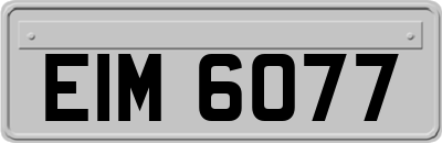 EIM6077