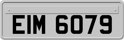 EIM6079