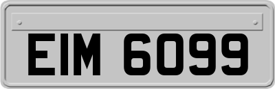 EIM6099
