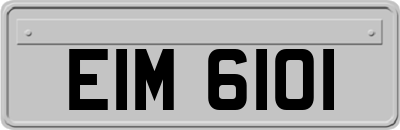 EIM6101