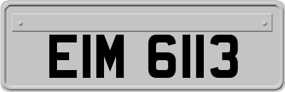 EIM6113
