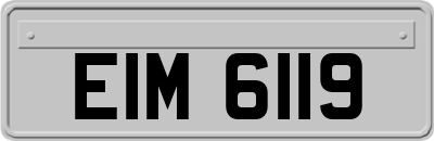 EIM6119