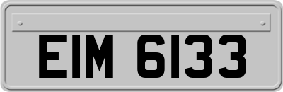 EIM6133