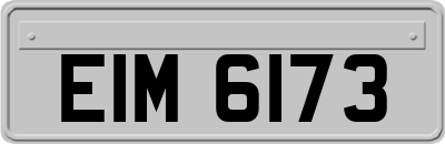 EIM6173