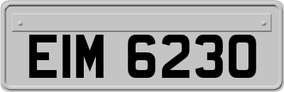 EIM6230