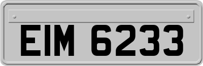 EIM6233