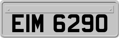 EIM6290