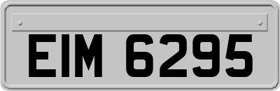 EIM6295