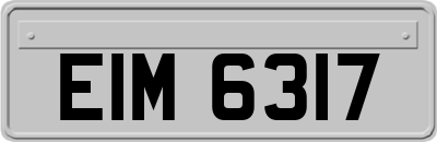 EIM6317