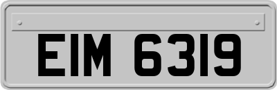 EIM6319