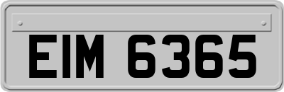EIM6365