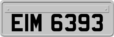 EIM6393