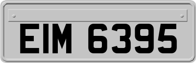 EIM6395