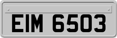 EIM6503