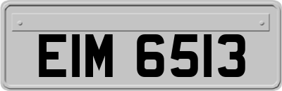 EIM6513