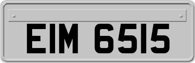 EIM6515