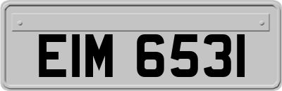 EIM6531