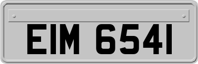 EIM6541