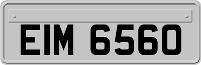 EIM6560