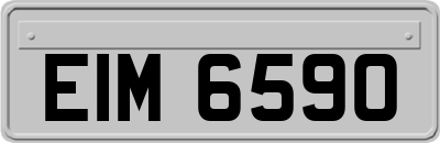 EIM6590