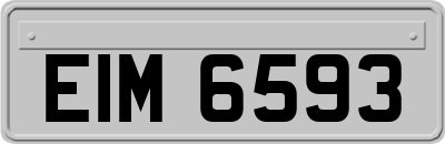 EIM6593