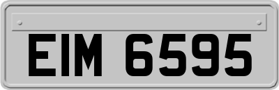 EIM6595