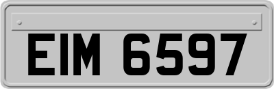 EIM6597